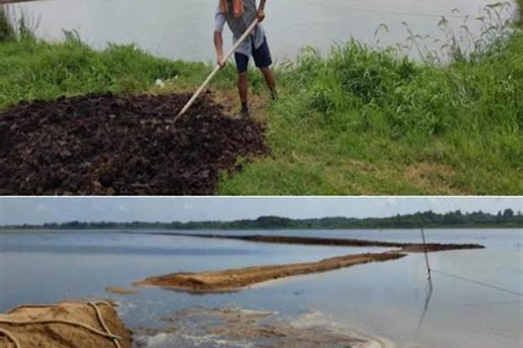 沤肥和堆肥的区别,沤肥要密封还是透气