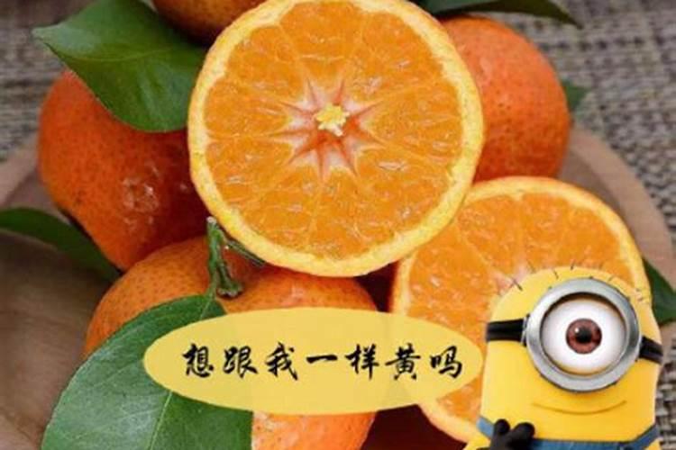 芸苔素锌硼二氢钾杨梅树上怎样用法