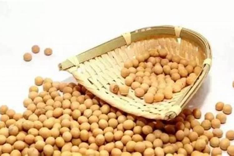 黄豆如何做肥料？