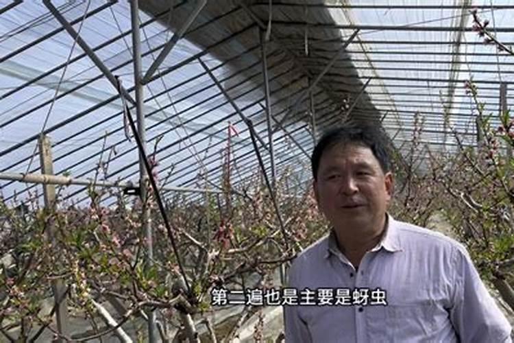 怎样辨别矿源黄腐酸钾的真假？