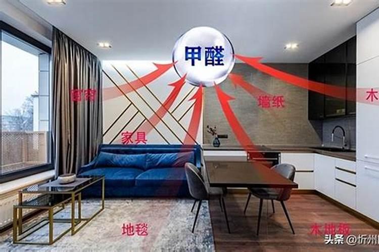 肉丝瓜的种植方法和时间