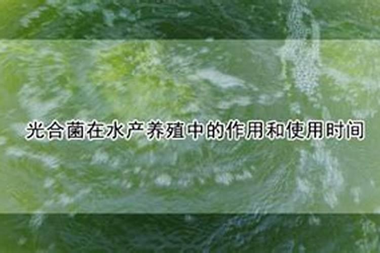 大棚土壤连作障碍怎么办