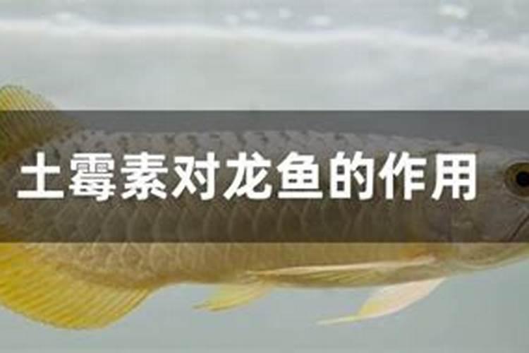 有机肥料主要可分为哪几类