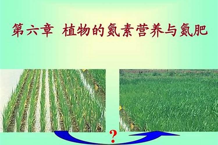 小麦灌浆期喷磷酸二氢钾几天见效