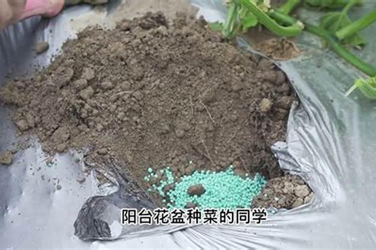 大棚韭菜喷什么叶面肥