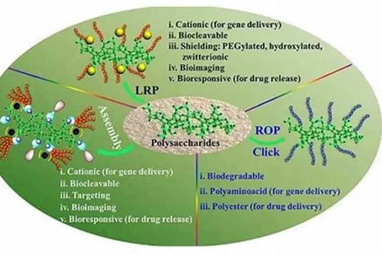 腐殖质的来源与形成