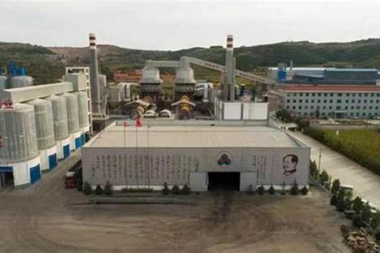什么叶面肥效果好
