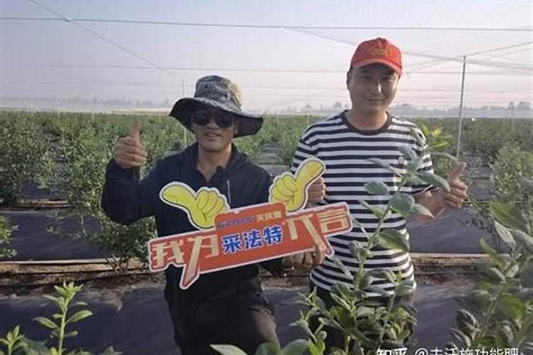想要果实快速膨大用什么水溶肥好