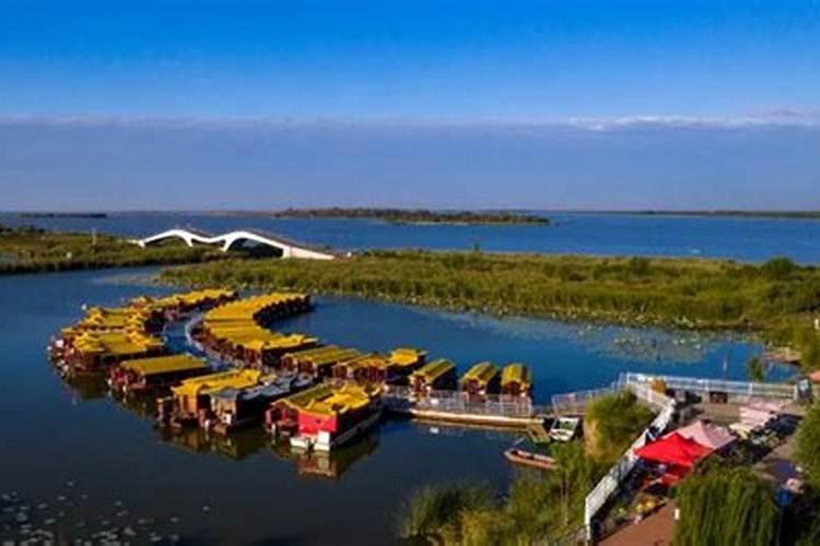 硝基复合肥宣传广告语