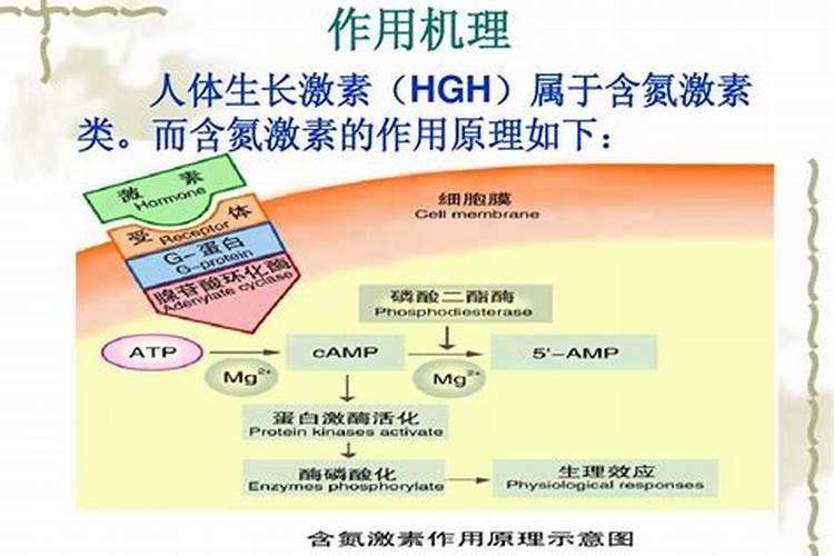 植物生长需要氮,那么给盆栽里直接加氮行不行,如何加