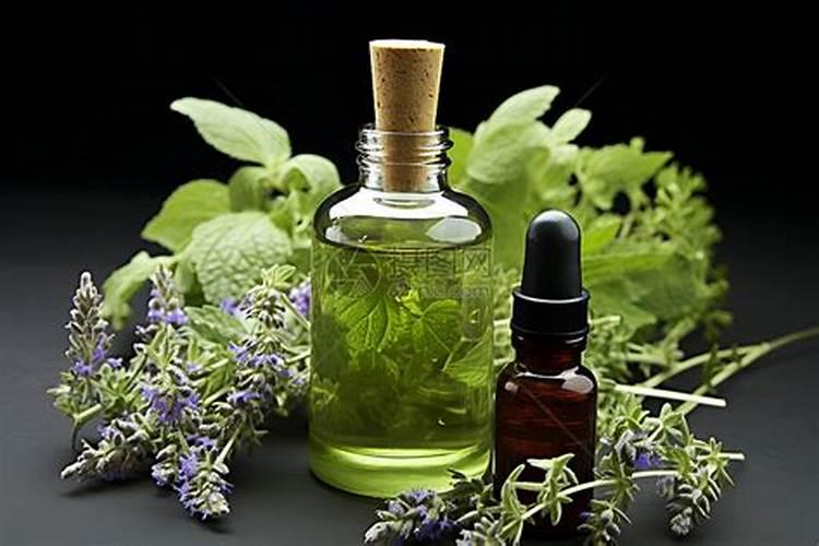 力锐科技植物精华素对农作物有什么作用