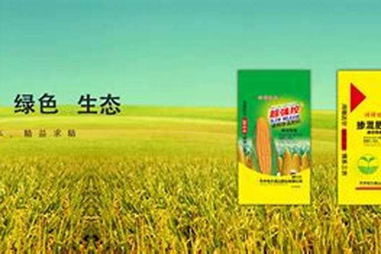黑龙江齐齐哈尔市都有哪些知名的企业？!