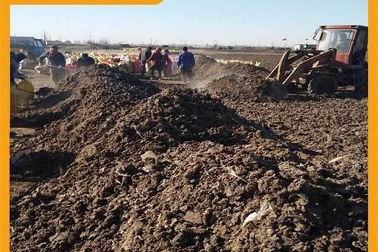 潍坊市金亿丰化肥有限公司怎么样？