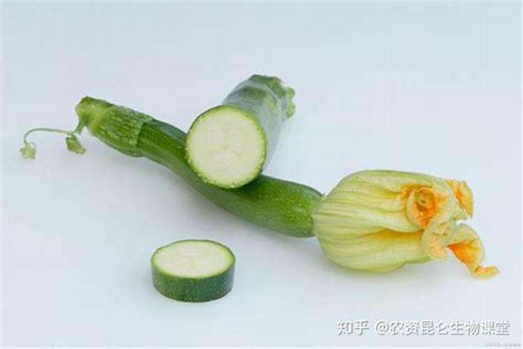 批发化肥一般多少钱一袋