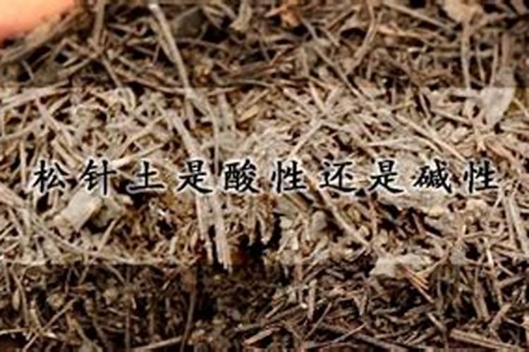 促进植物根系生长的肥料