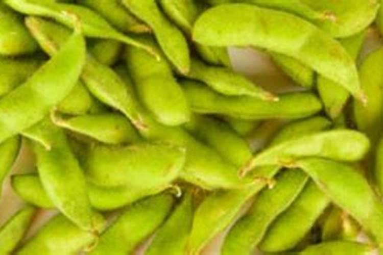 种植毛豆需要施什么肥