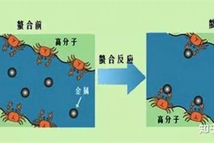 巧丹钙镁功能性水溶肥主要功效是什么？