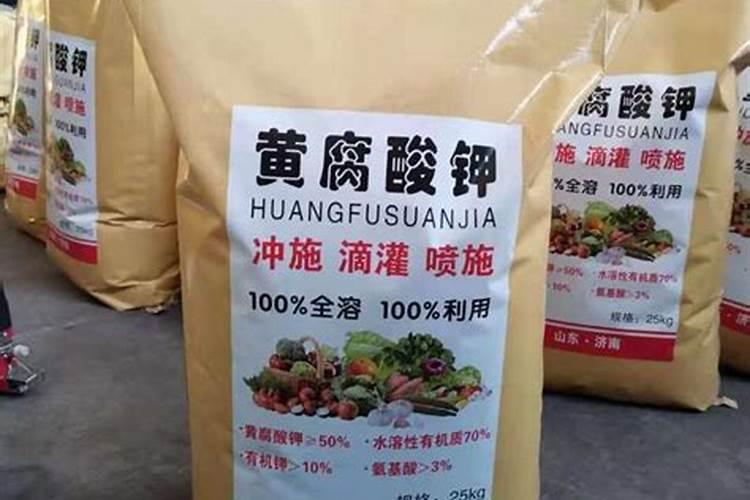 养花的磷肥有哪些