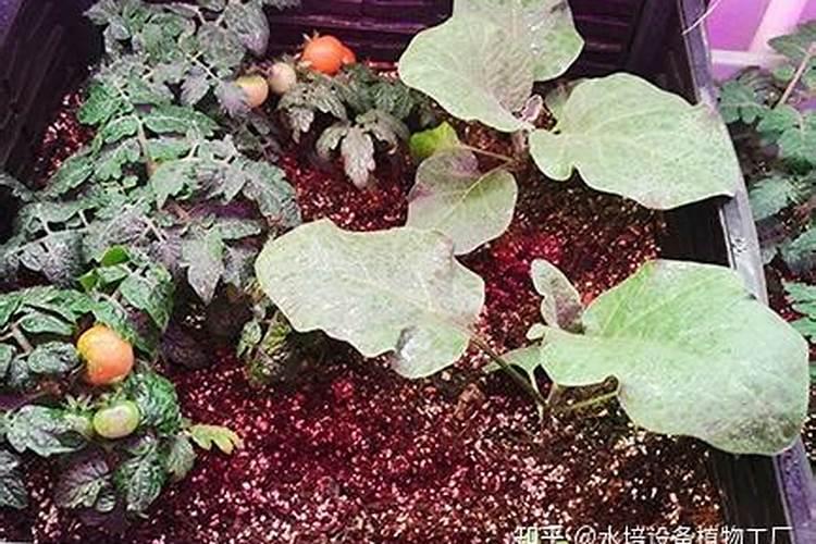 什么是全氮、水解氮、速效氮？
