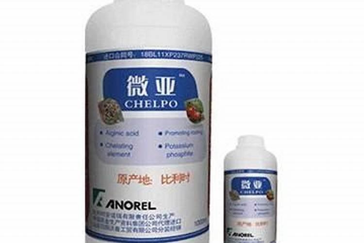 河北上桥生物科技有限公司怎么样？