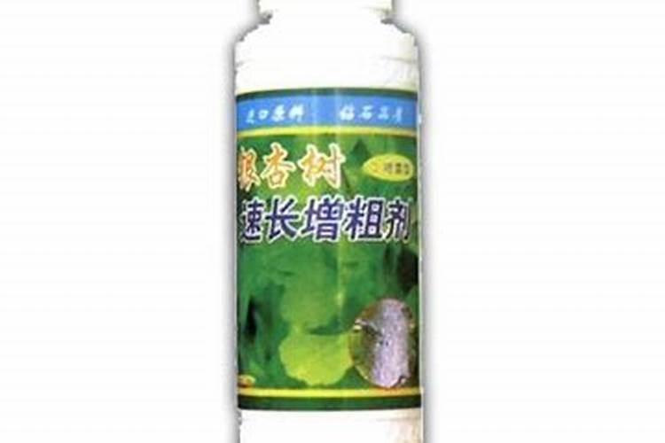 树干增粗的几种方法