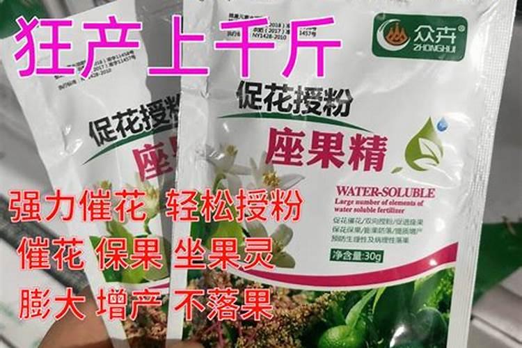 葡萄开花期用什么药能打番茄坐果灵么