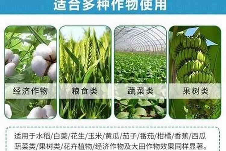 杏子栽重茬用什么杀菌药？