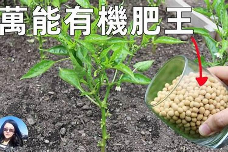 玉米用缓释肥还用追肥吗