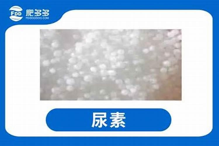 尿素可以给花卉施肥吗？