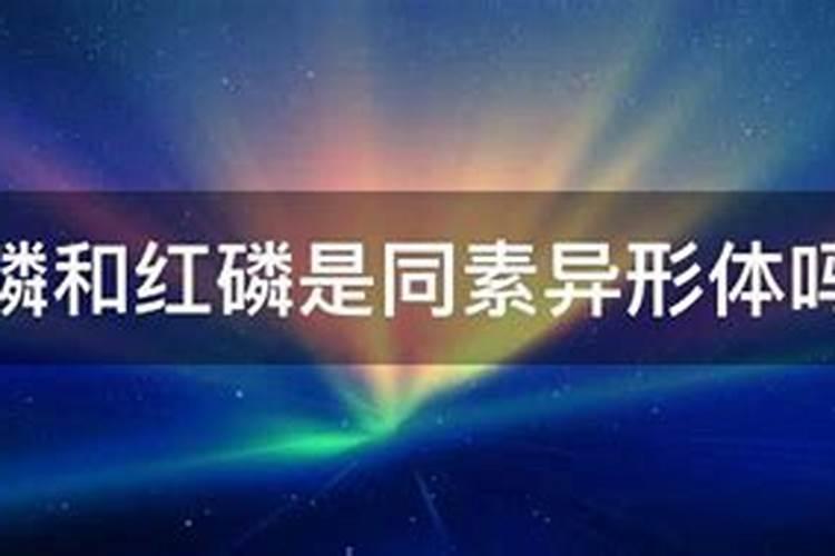 果树上什么肥料最好 果树专用肥有哪几种