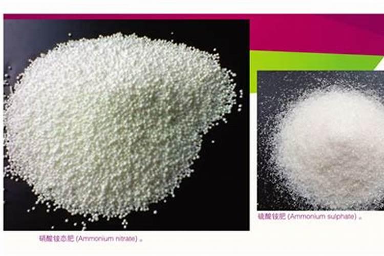 硼肥的使用方法与用量