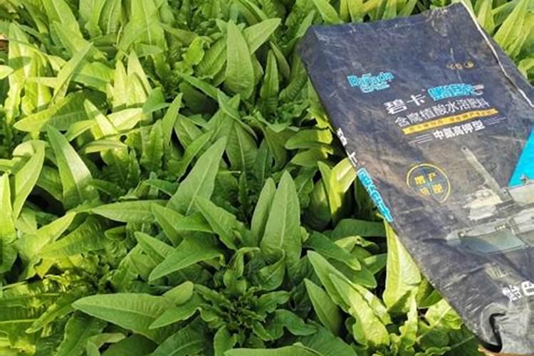 复合肥在水里化了还能用吗？