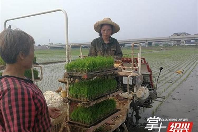 家畜粪便如何处理