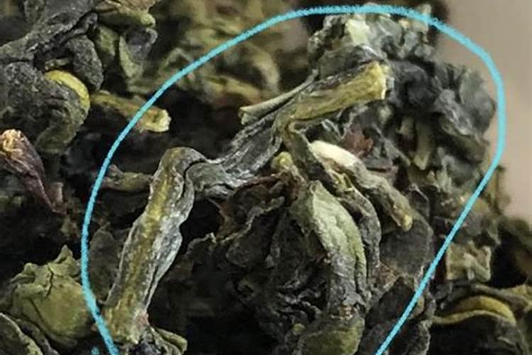 黄泥土一般种哪些蔬菜适合 黄泥土适合种什么蔬菜