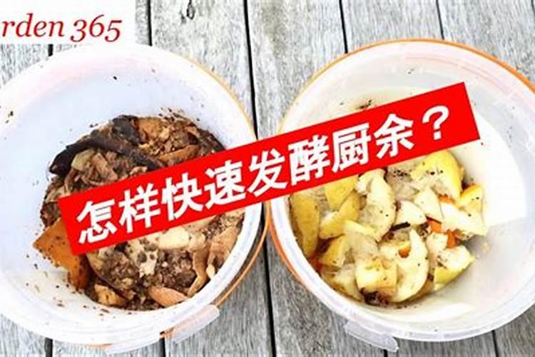 栀子花秋季如何施肥