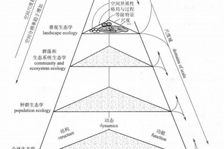 花果控释肥的使用方法