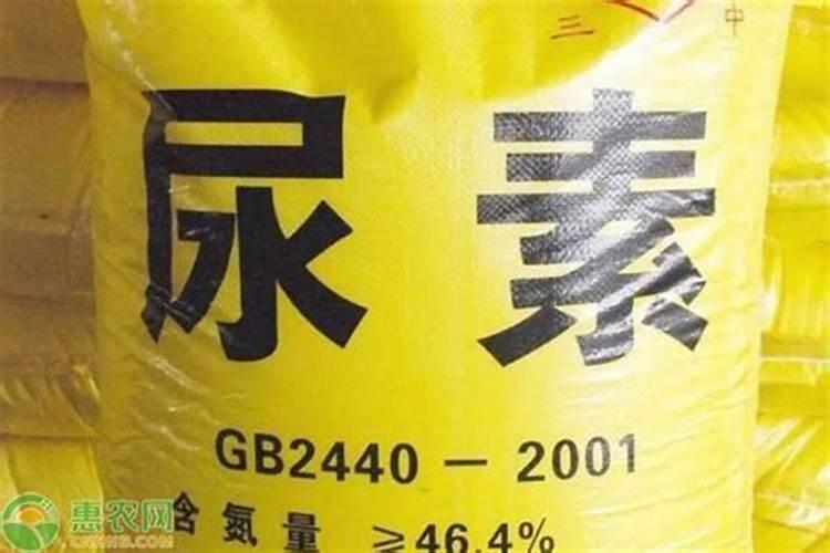 尿素肥料含什么成分？