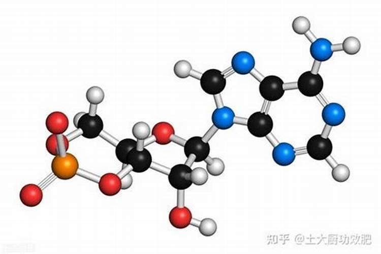 预防茂谷柑裂果落果有技巧