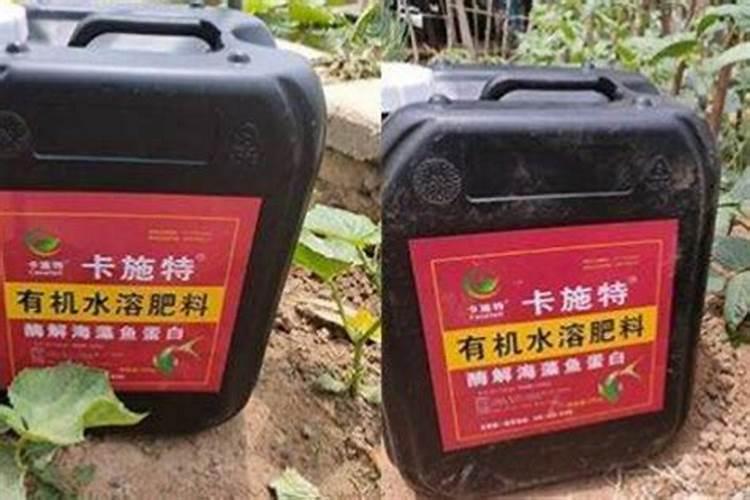 适合东北地区种植的8种药材,亩收益最高可达7万元,需求量大!百度知 ...