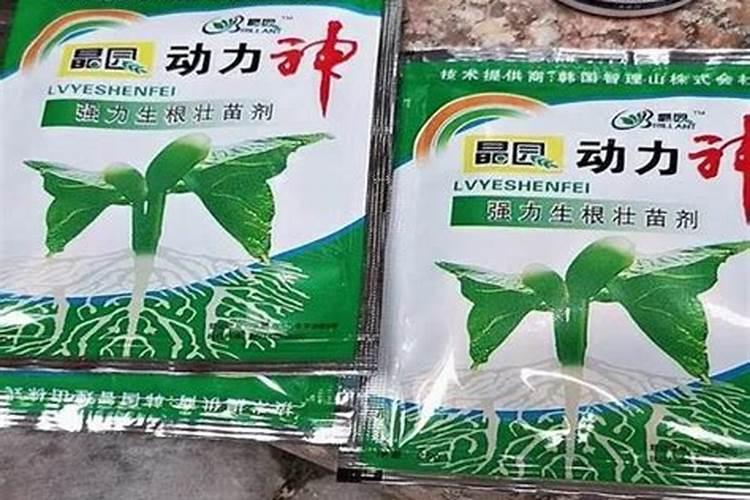 葡萄花期可以喷施叶面肥吗