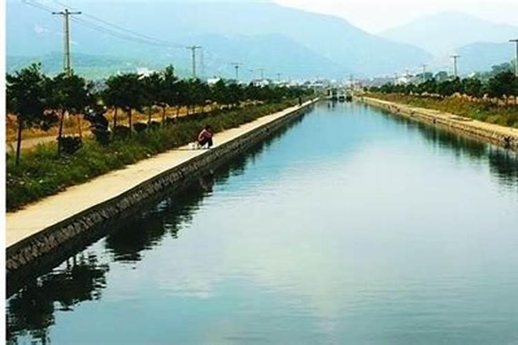 水养蒜苗用什么肥料