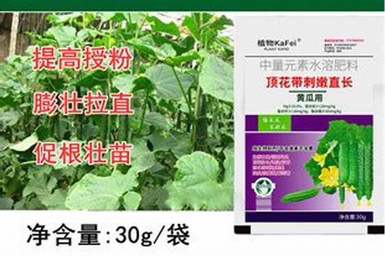 水溶肥使用时注意事项、方法与用量？
