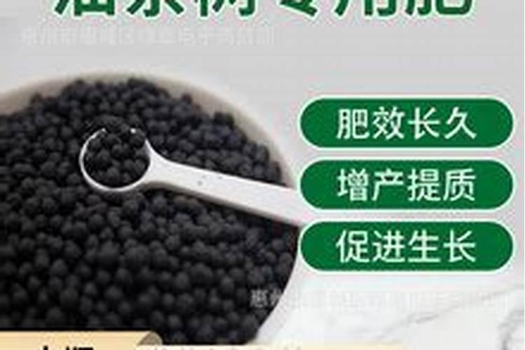 阳台种茄子几天能发芽