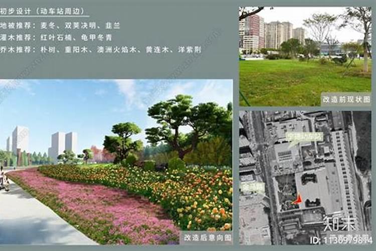 “甲醛克星”有哪些？