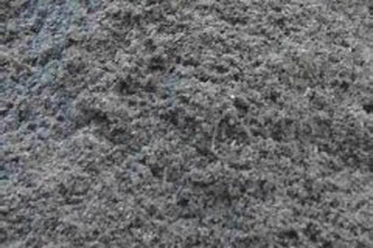 多肉植物施肥方法是什么