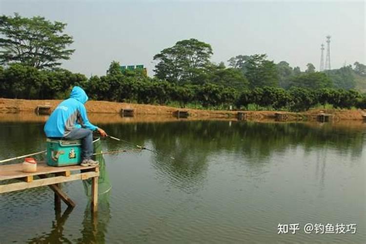 杜鹃花怎么施肥