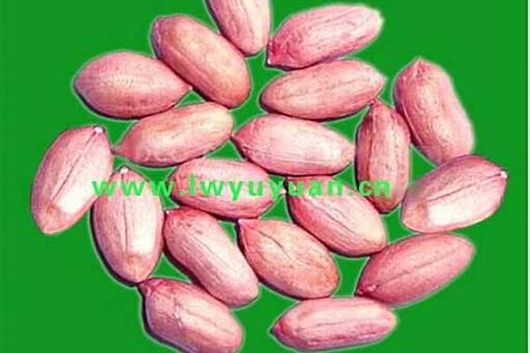 花生喷施硼肥最佳时间 使用注意事项有哪些