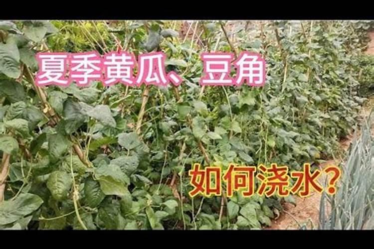 “万能”的芸苔素内酯,你用对了吗？附最全使用方案