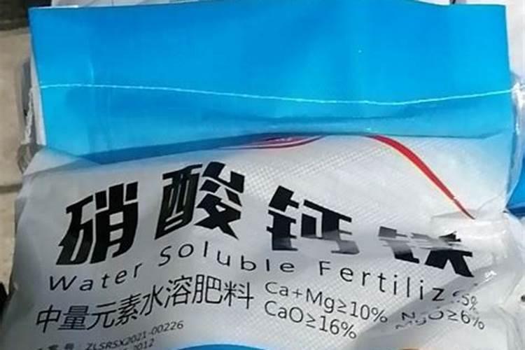 荷兰进口宝莲灯花没开花苞累的骨头都黑了是怎么回事