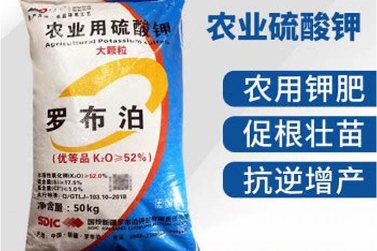 养兰花用什么肥料最好